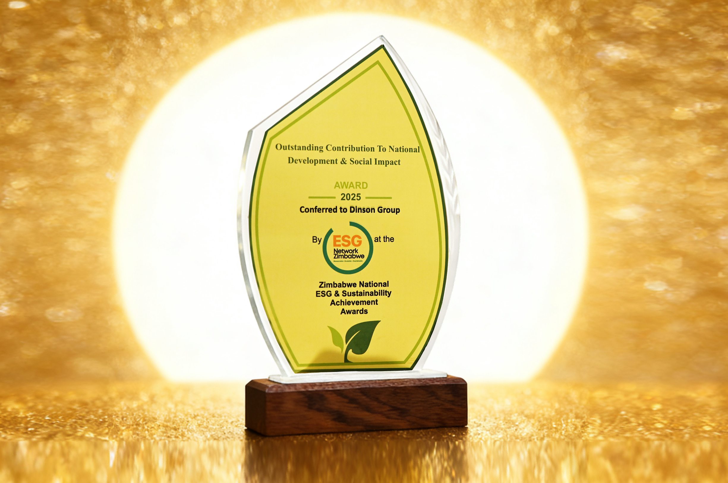 鼎森控股揽获四项津巴布韦国家ESG重磅大奖